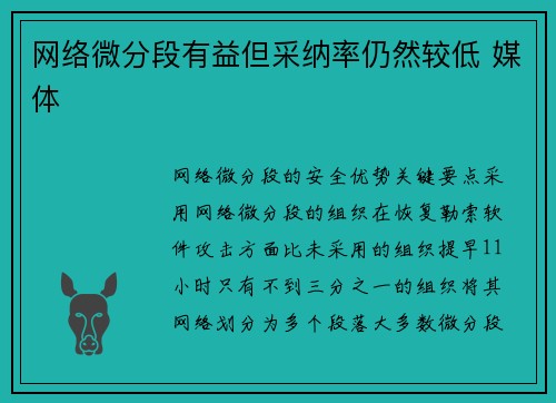 网络微分段有益但采纳率仍然较低 媒体
